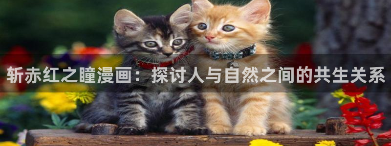 韩漫漫画免费阅读看漫画下拉式：斩赤红之瞳漫画：探讨人与自然之间的共生关系